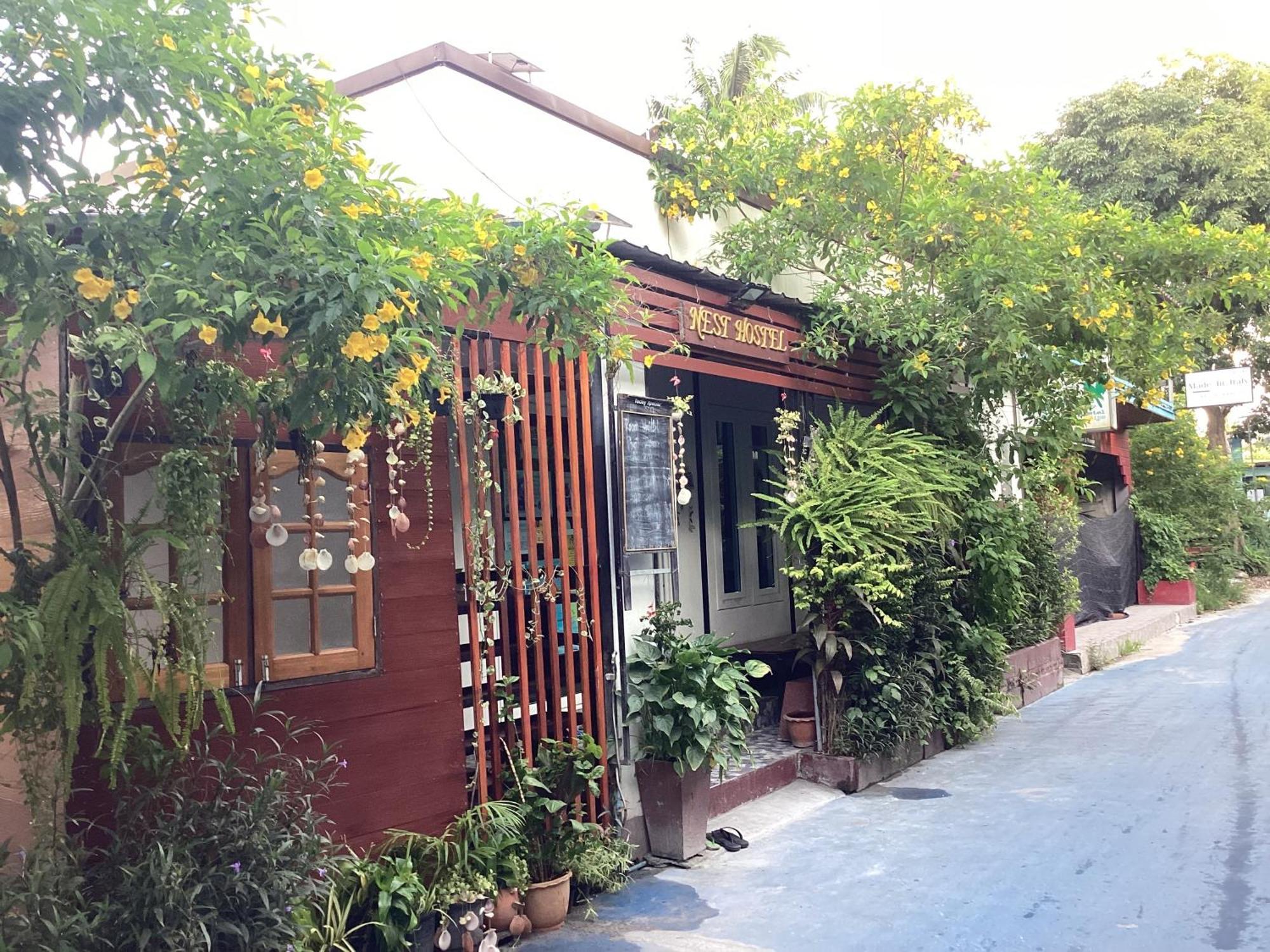 Nest Hostel Lipe מראה חיצוני תמונה