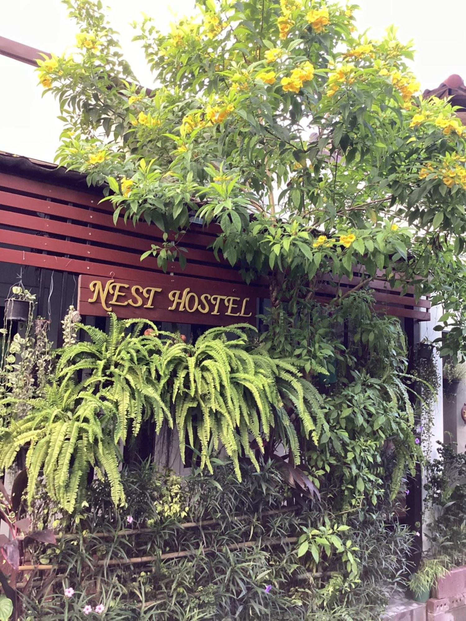 Nest Hostel Lipe מראה חיצוני תמונה