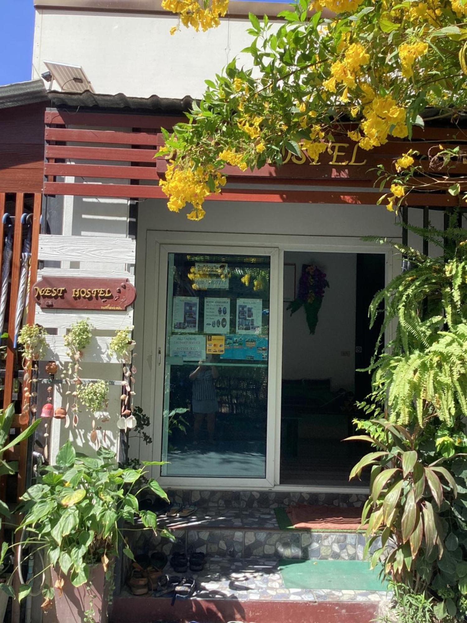 Nest Hostel Lipe מראה חיצוני תמונה