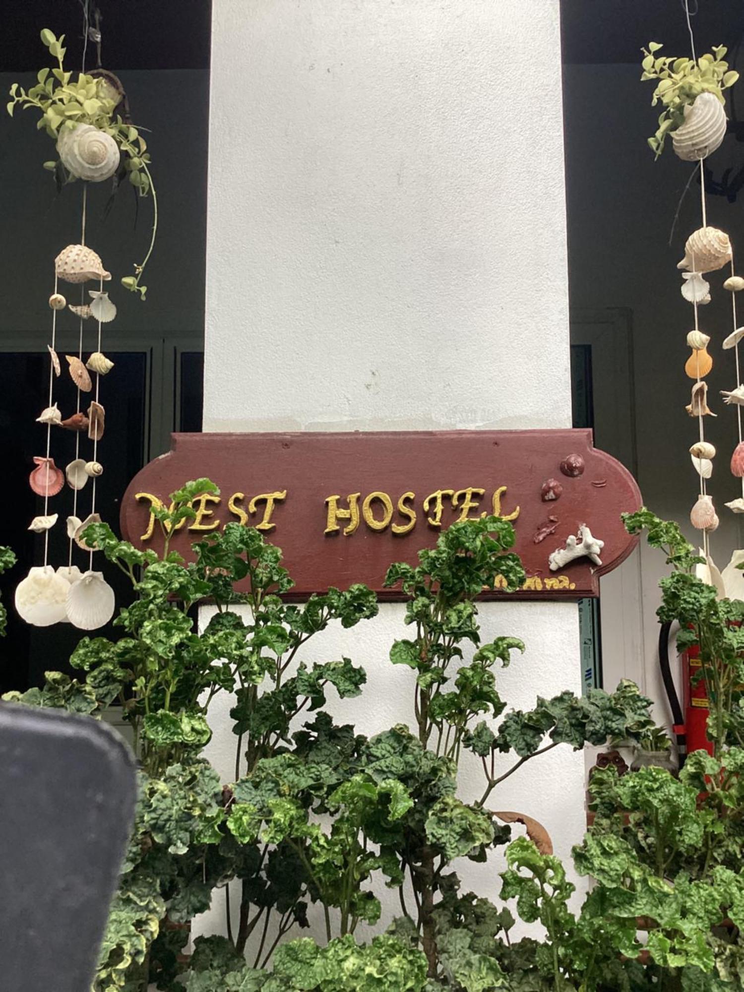 Nest Hostel Lipe מראה חיצוני תמונה