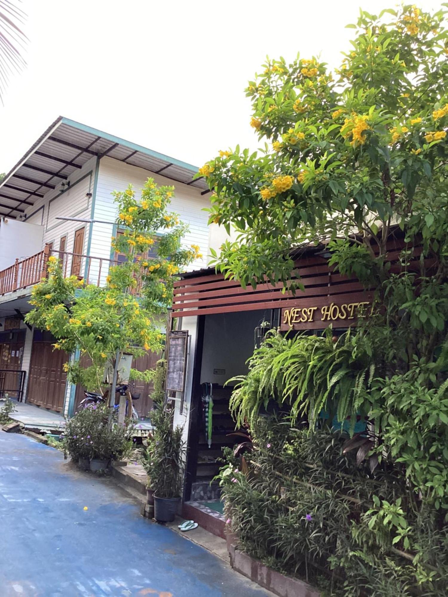 Nest Hostel Lipe מראה חיצוני תמונה