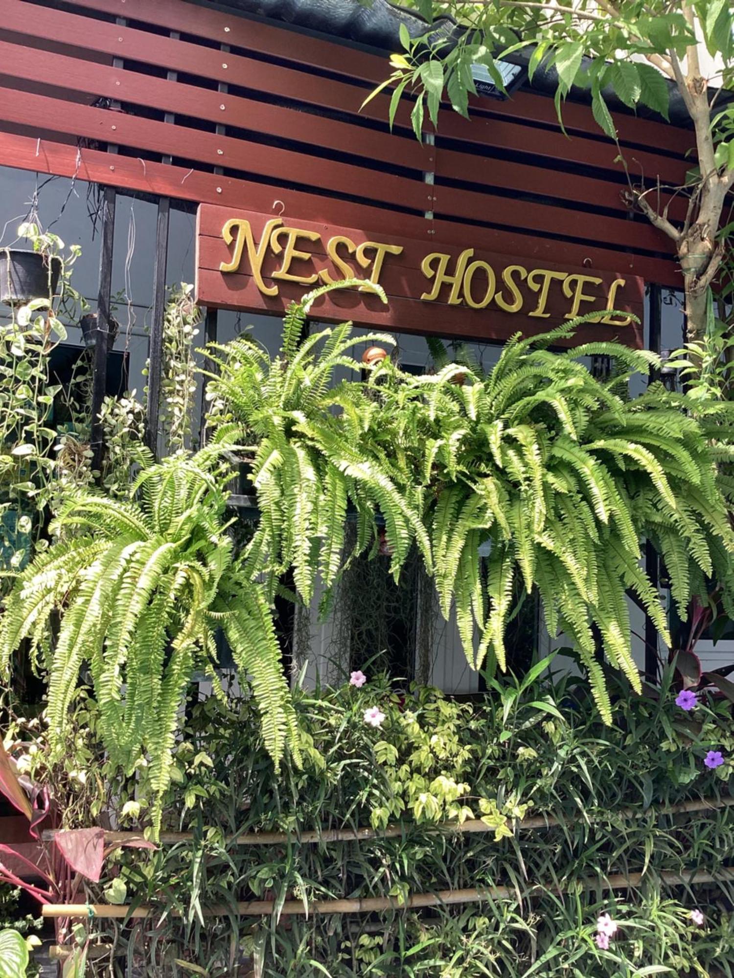 Nest Hostel Lipe מראה חיצוני תמונה