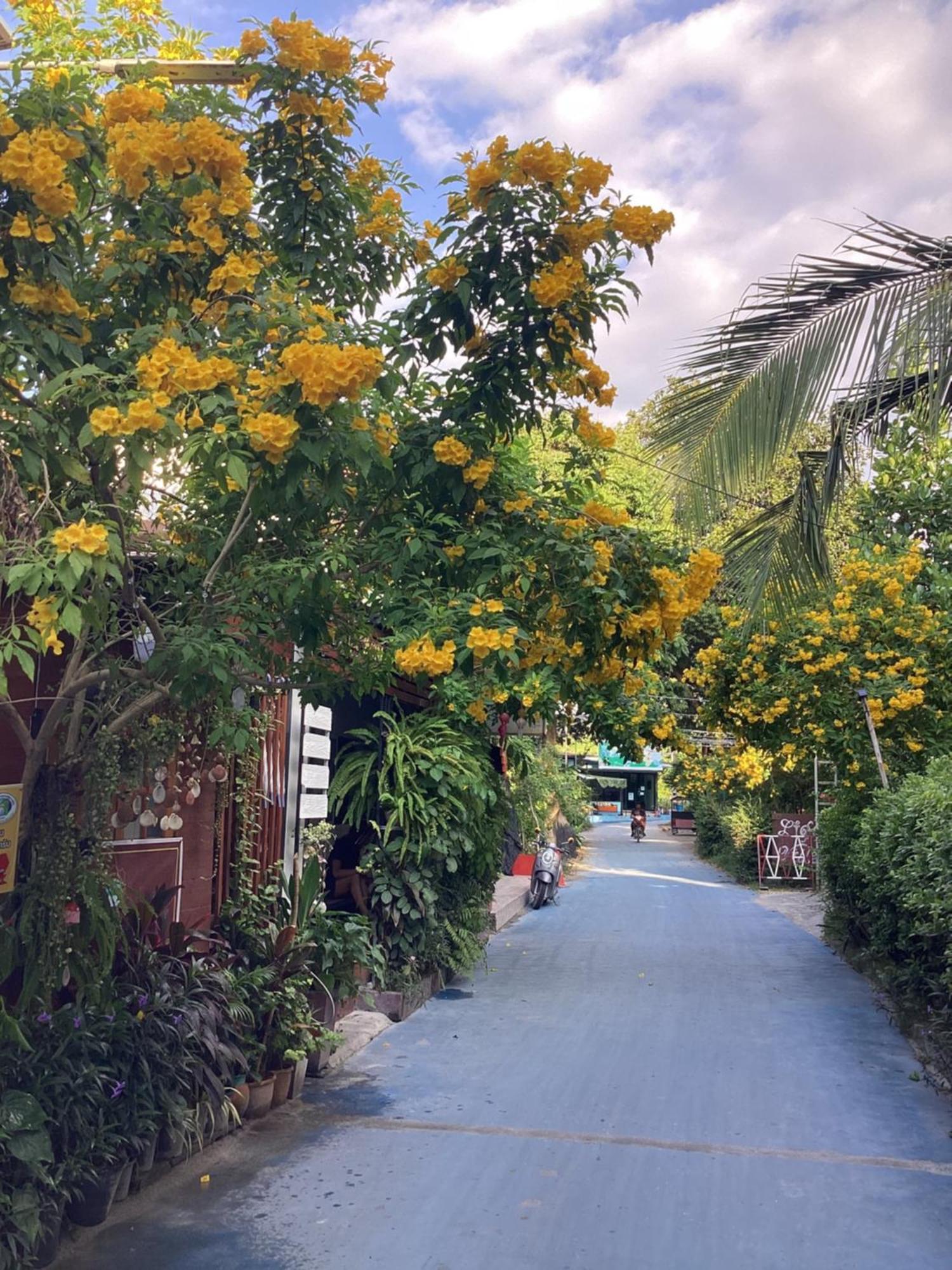 Nest Hostel Lipe מראה חיצוני תמונה